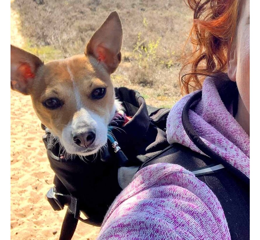 Dog Carrier Backpack Plus Black 2