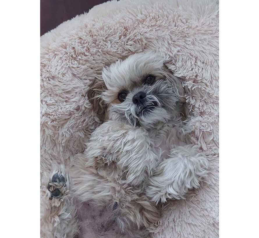 Dog Bed Bagel Bed Blondie