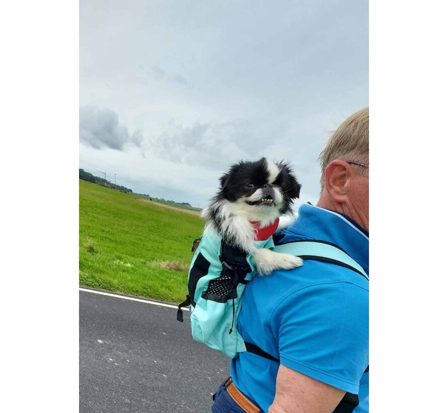 Dog Carrier Backpack Air Mint 2