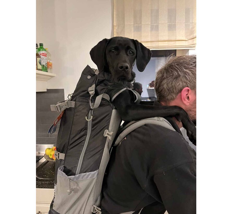 Dog Carrier Backpack Kolossus Black