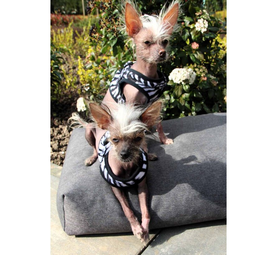 Hondentuig Comfy Harnass Zebra