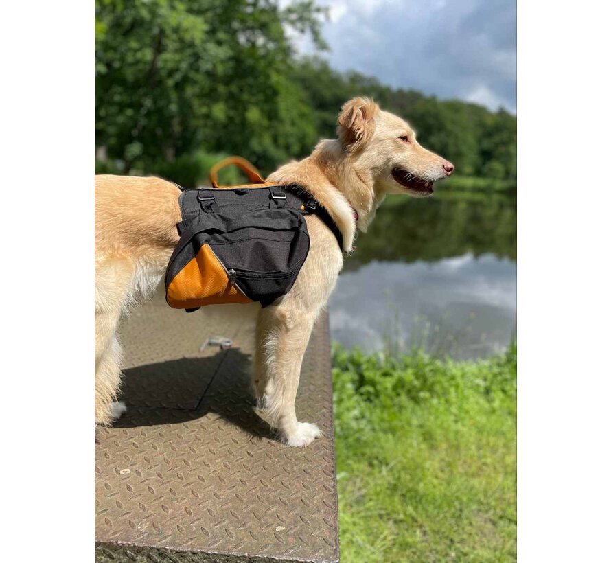 Hondendraagtas Rugzak Baxter Oranje