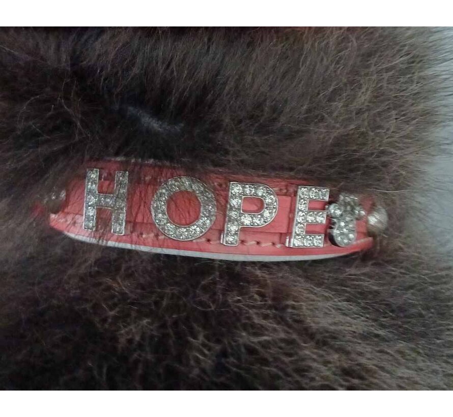 Dog Collar With Name Pink (Medium)