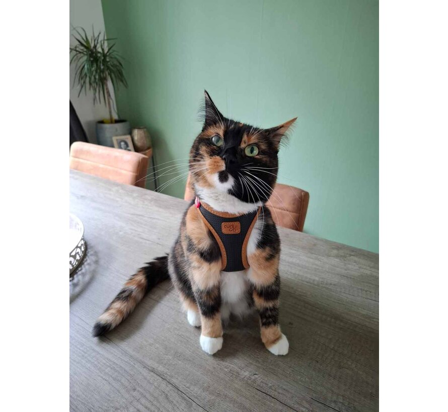 Hondentuig Clasp Vest Apple Leather Zwart