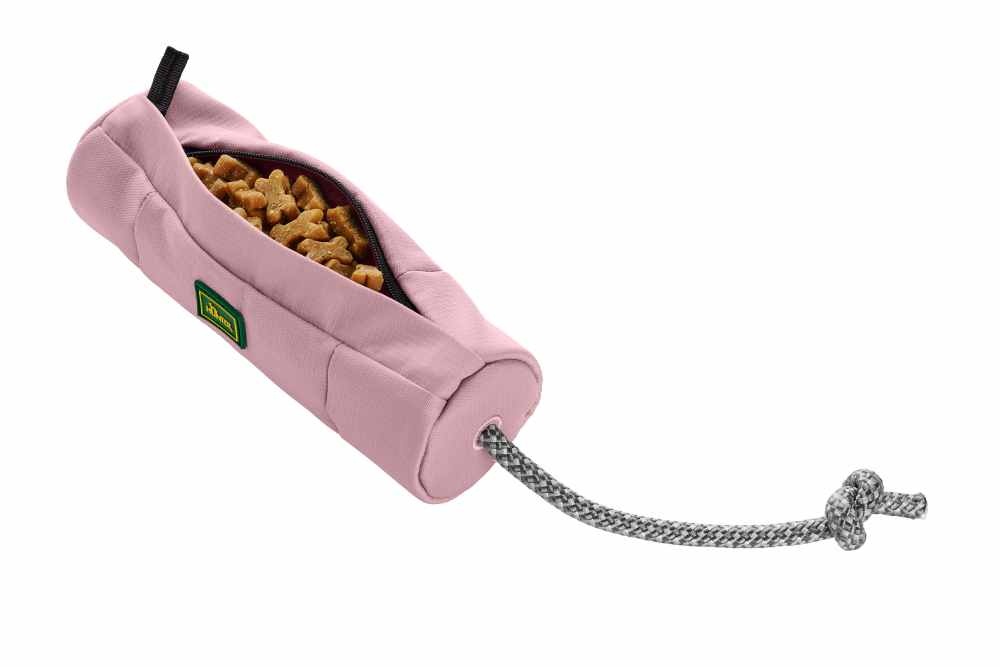 Dog24