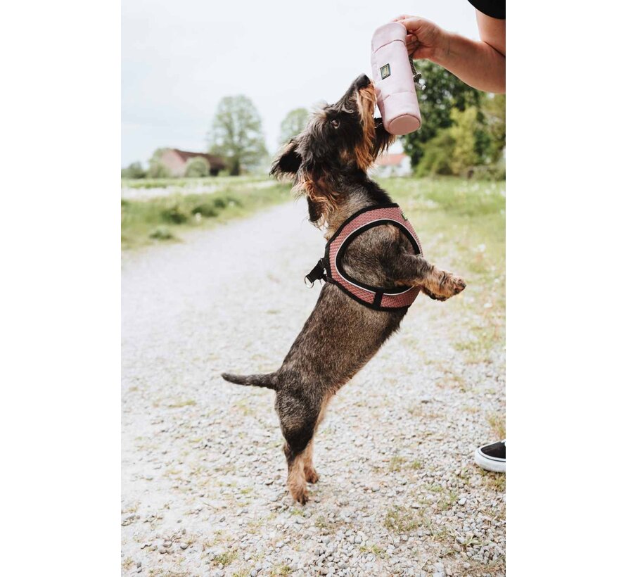 Trainer Snack Dummy Met Touw Roze