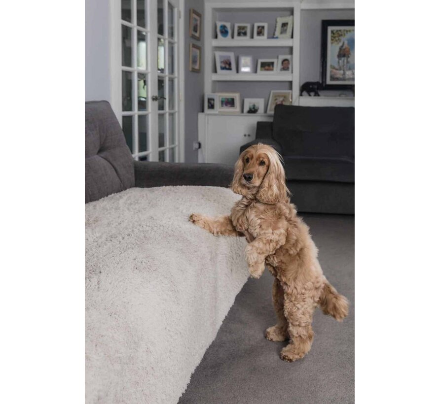 Hondendeken Comfy Cover Ston