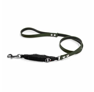 WAW Shock Absorbing Dog Leash Green