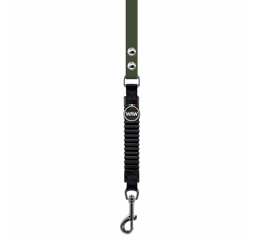 Shock Absorbing Dog Leash Green