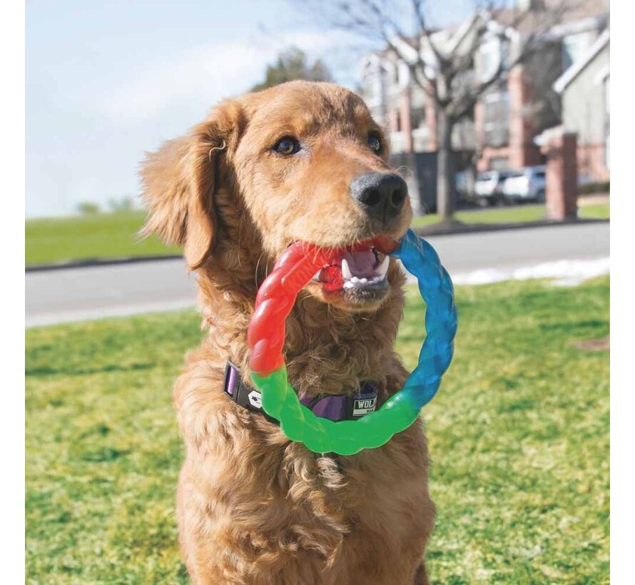 Dog Toy Twistz