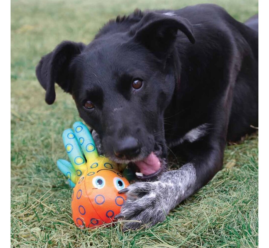 Dog Toy Shieldz Tropics