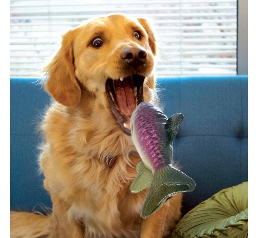 Dog Toy Wild Shieldz