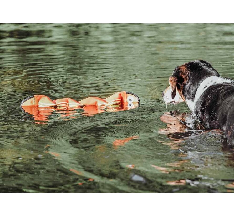 Dog Toy Aqua Mindelo