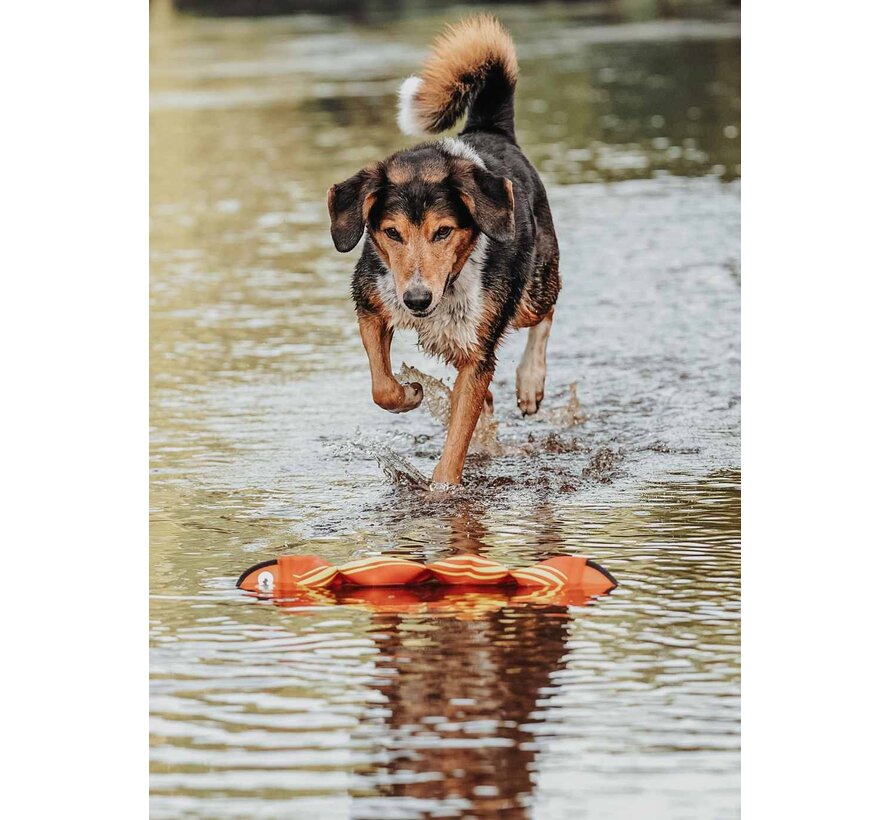 Hondenspeelgoed Aqua Mindelo