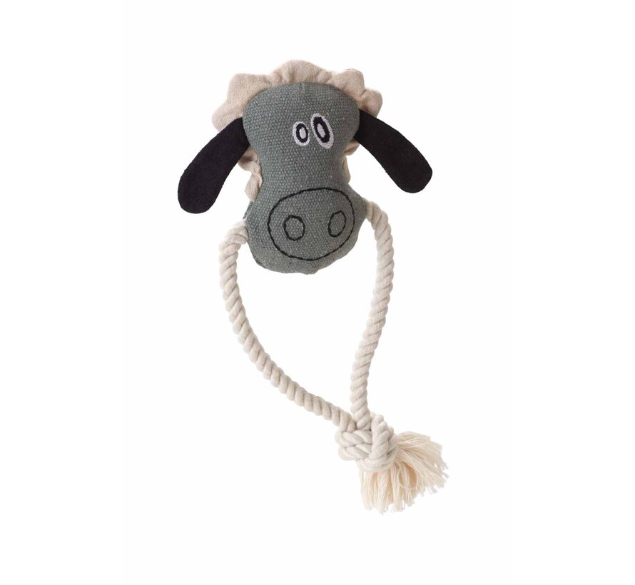 Dog Toy Nebraska
