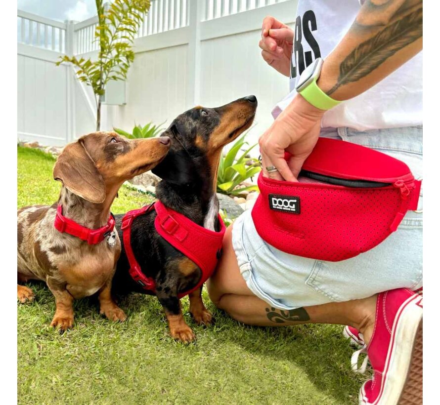 Neosport Crossbody & Belt Bag - Red