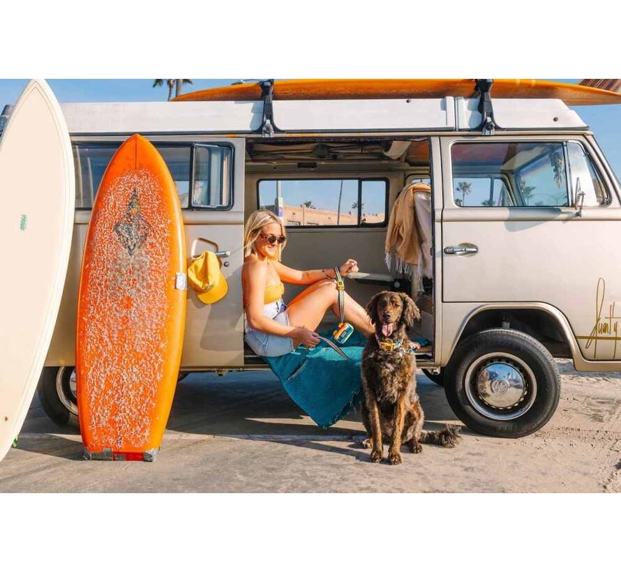 Hondenriem Neopreen Clip It Scout