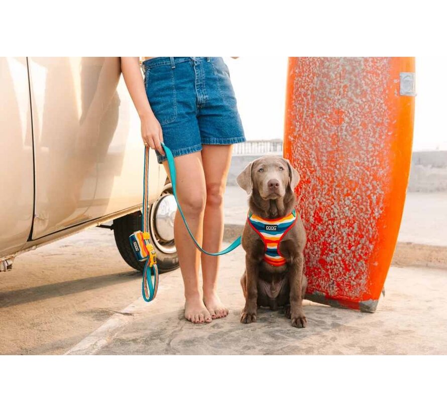 Dog Leash Neoprene Clip It Scout