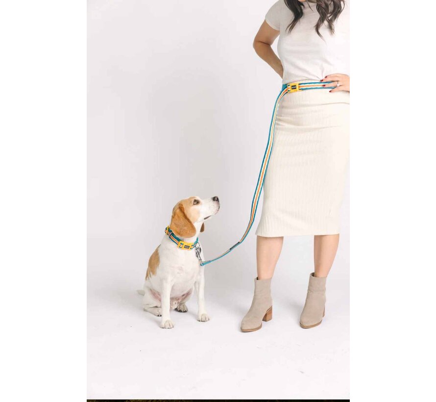 Dog Leash Neoprene Clip It Scout