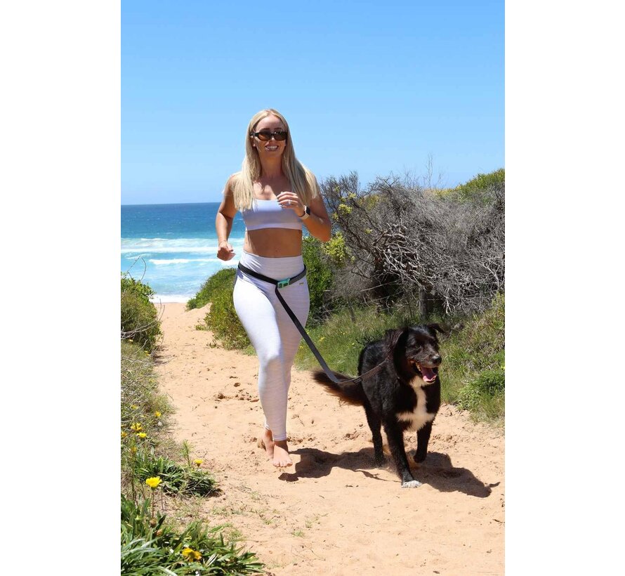 Dog Leash Neosport Neoprene Clip It Navy