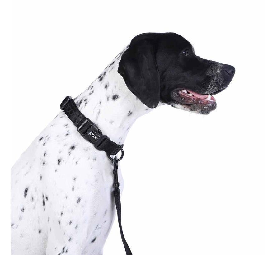 Dog Collar Neosport Neoprene Black