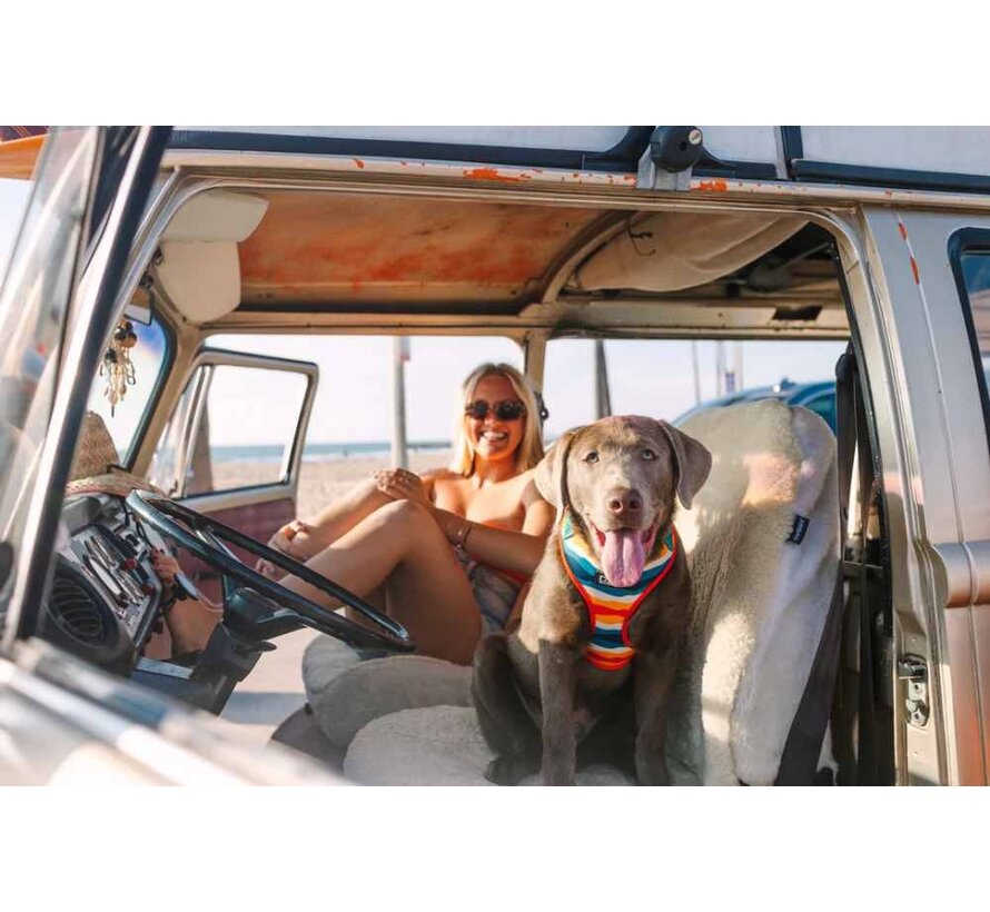 Dog Harness Neoflex Scout