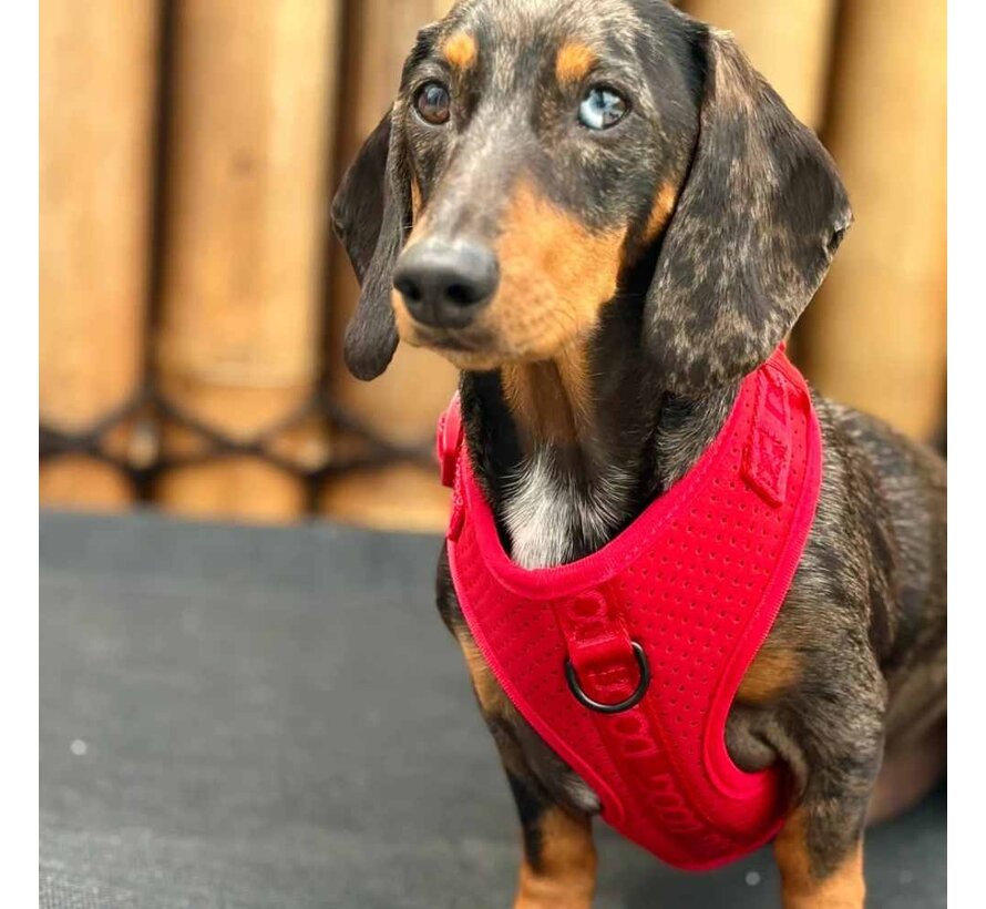 Dog Harness Neosport Neoprene Red