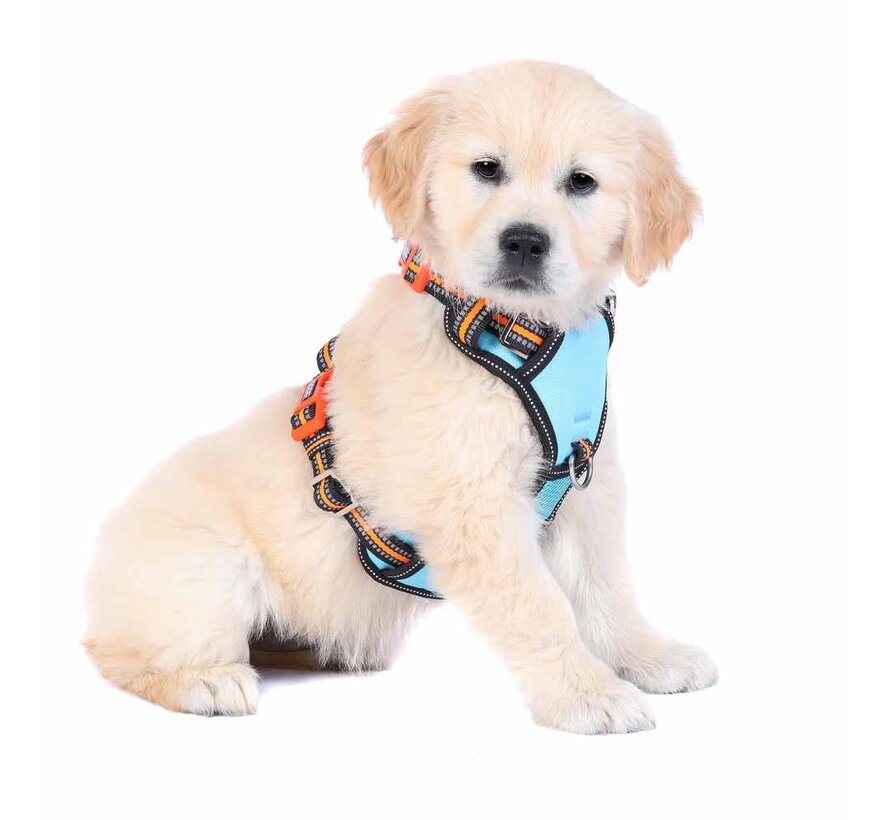 Dog Harness Neotech Neon Beethoven
