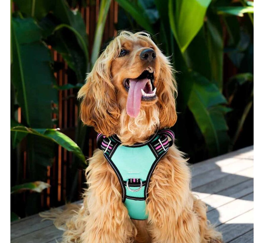 Dog Harness Neotech Neon Rin Tin Tin