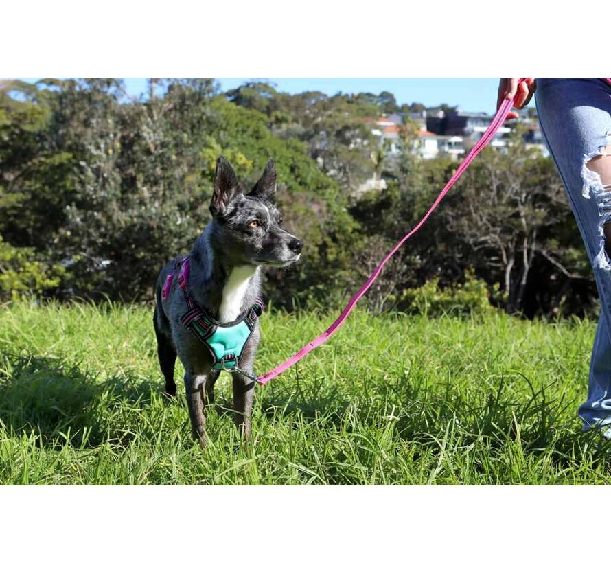 Dog Harness Neotech Neon Rin Tin Tin