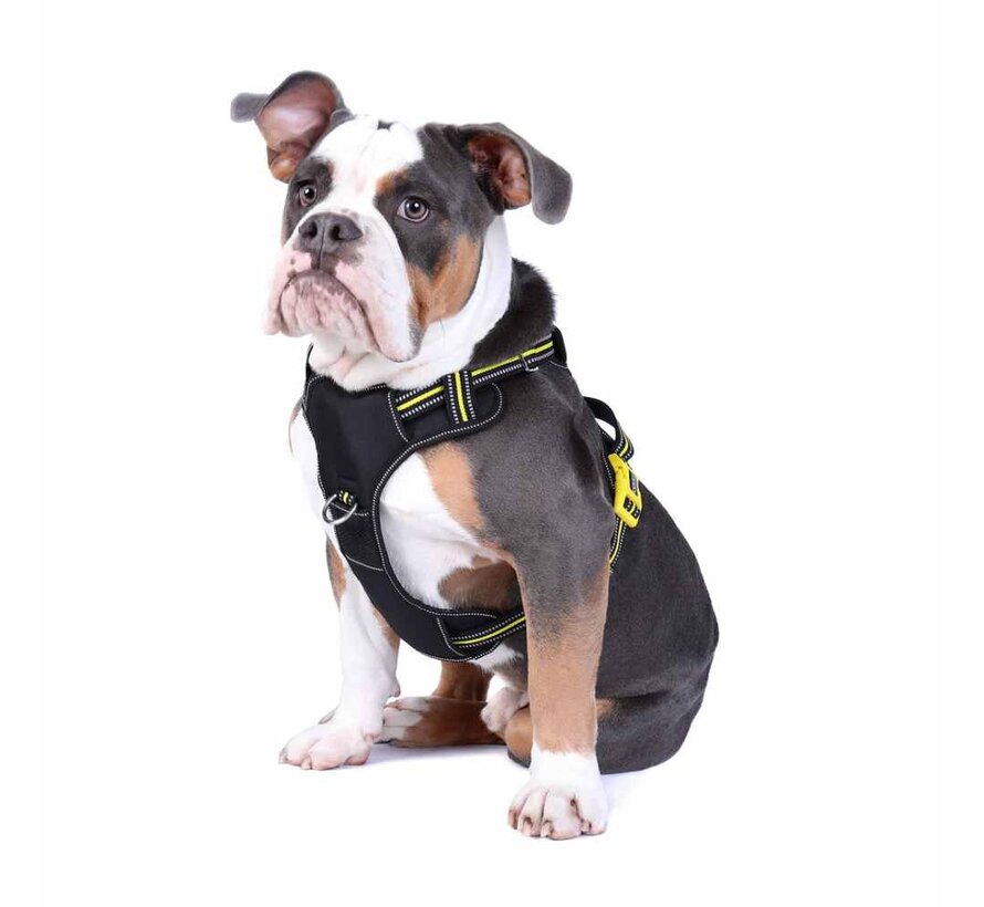 Dog Harness Neotech Neon Bolt