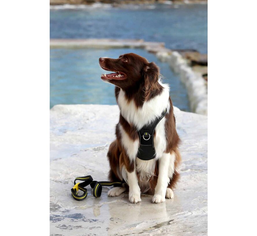 Hondentuig Neotech Neon Bolt