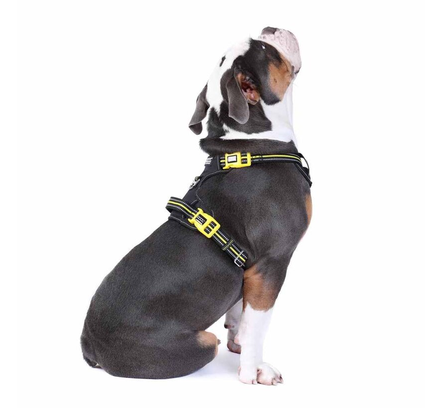 Dog Harness Neotech Neon Bolt