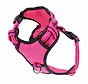 Dog Harness Neotech Neon Lady