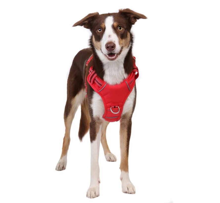 Dog Harness Neotech Red
