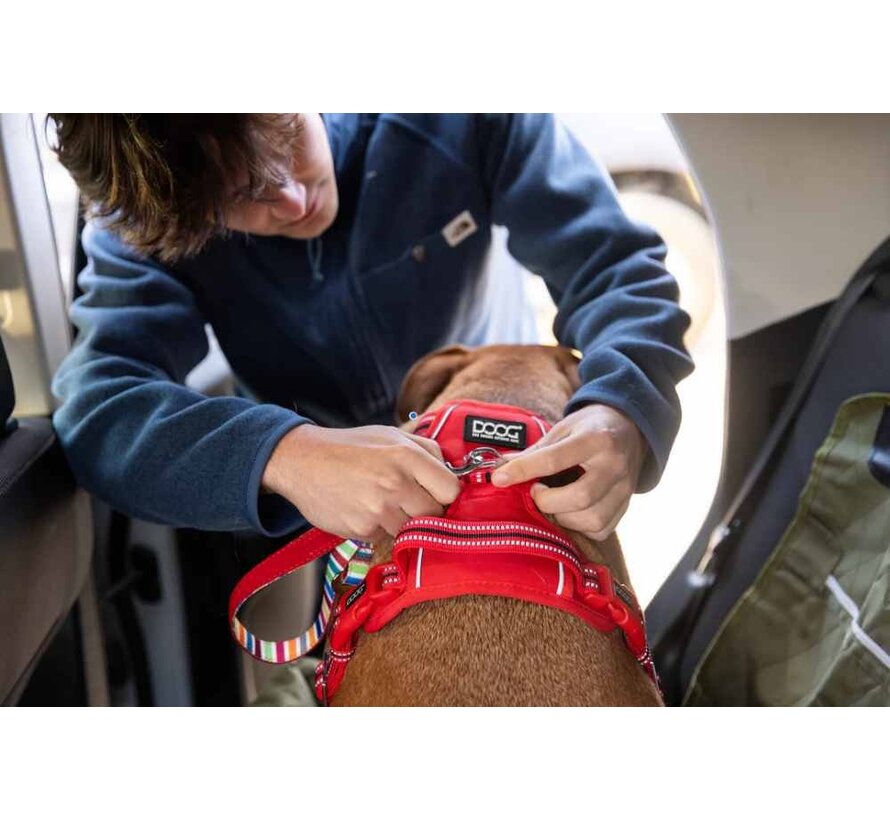 Dog Harness Neotech Red