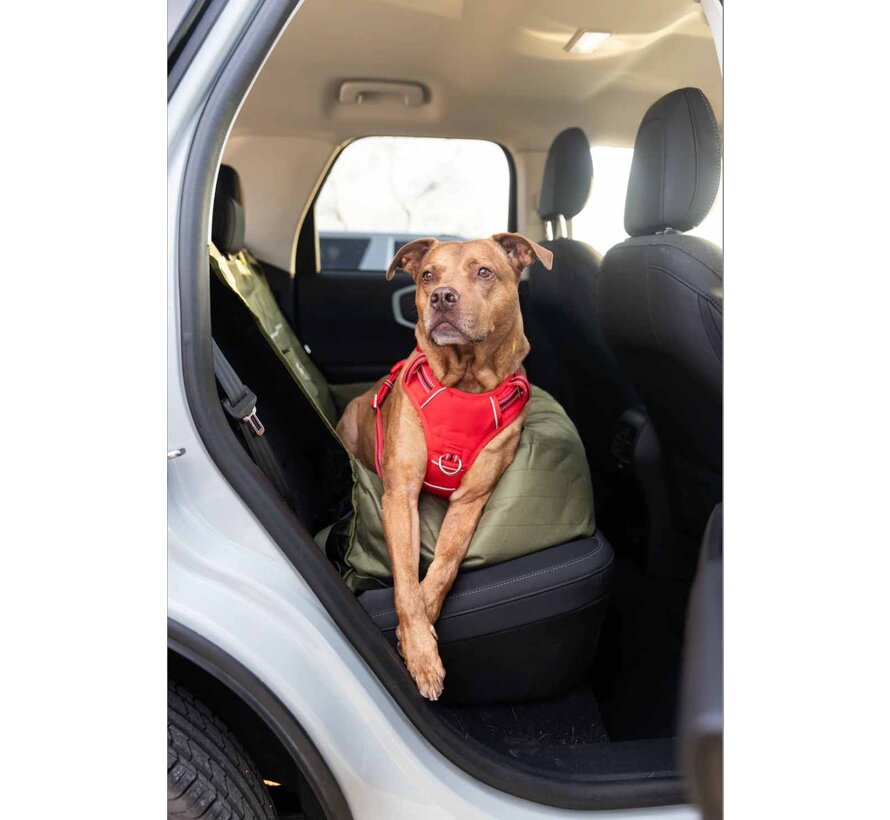 Dog Harness Neotech Red