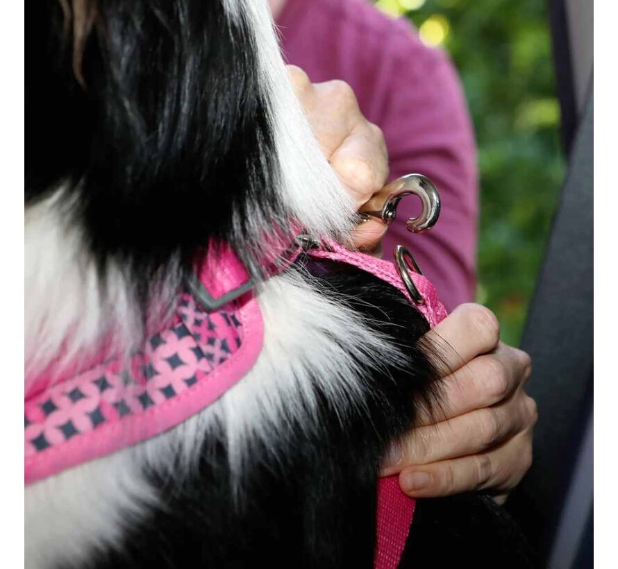 Veiligheidsriem Car Restraint Toto