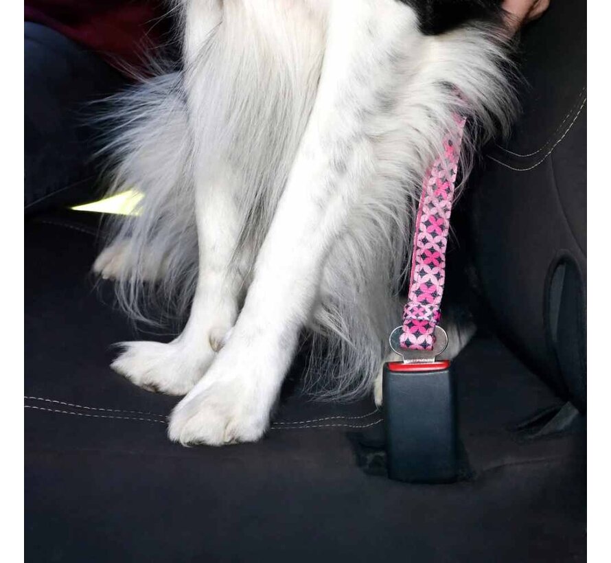 Veiligheidsriem Car Restraint Toto