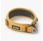 Dog Collar Urban Explorer Lemon