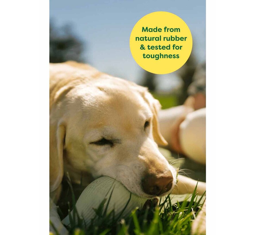 Hondenspeelgoed Treat Dispenser