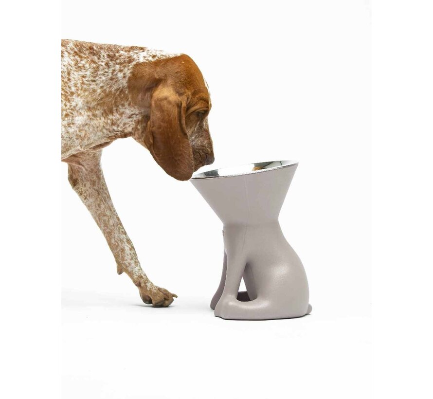 Dog Bowl Elizabeth