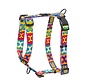 Dog Harness Fusion Pop Art