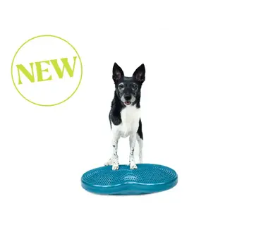 FitPAWS Duo Disc Balance Cushion