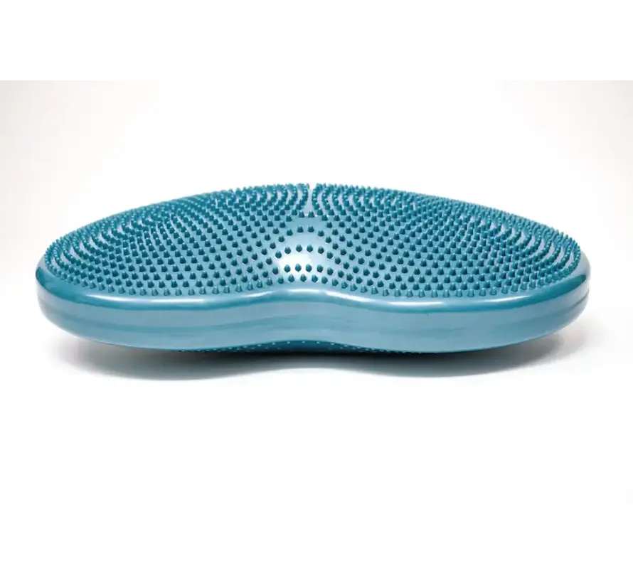 Duo Disc Balanskussen