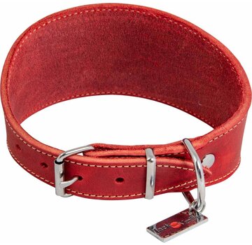 Jack and Vanilla Greyhound Collar Greased Leather Red