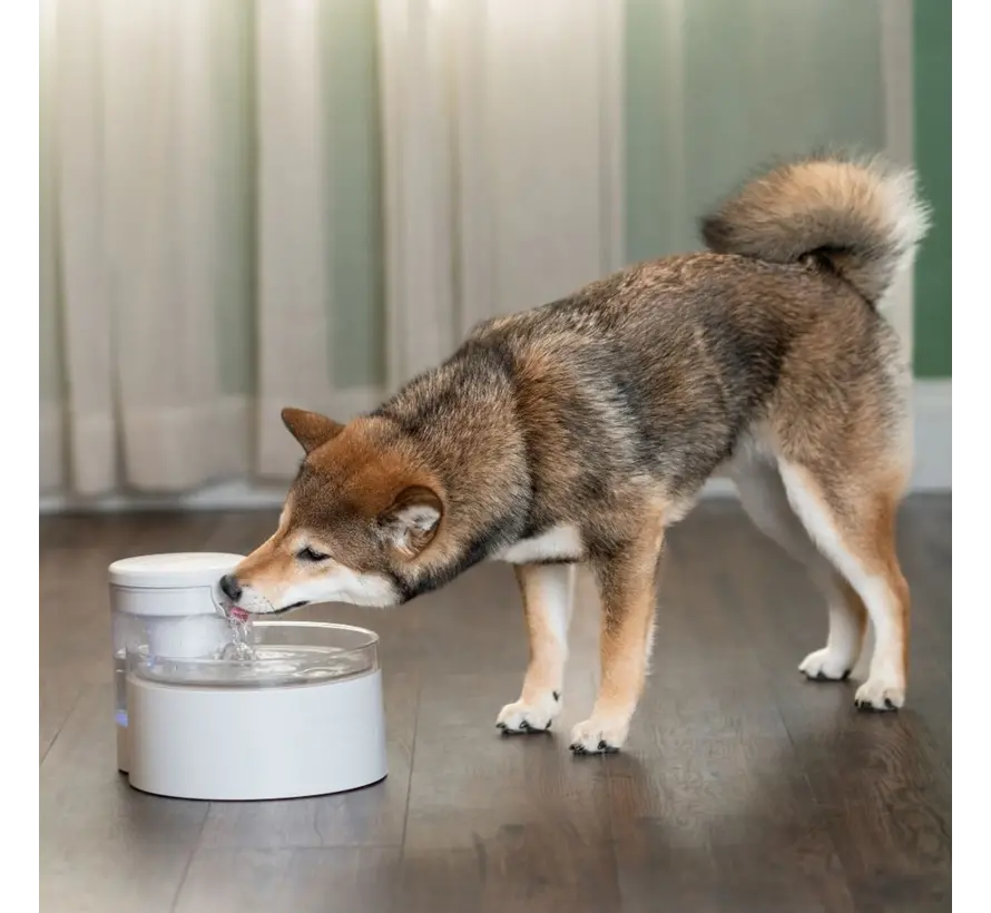 Outlast™ Drinking Fountain for Dogs and Cats