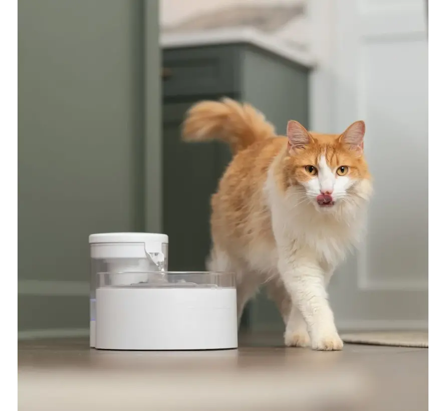 Outlast™ Drinking Fountain for Dogs and Cats