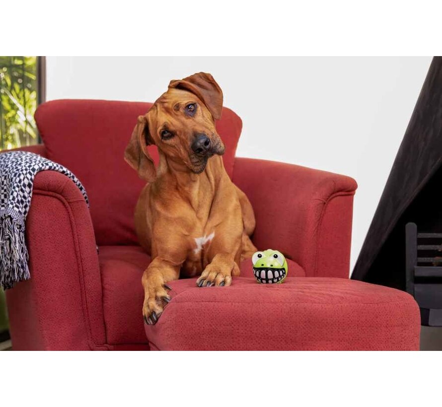 Hondenspeelgoed Grinz Frog