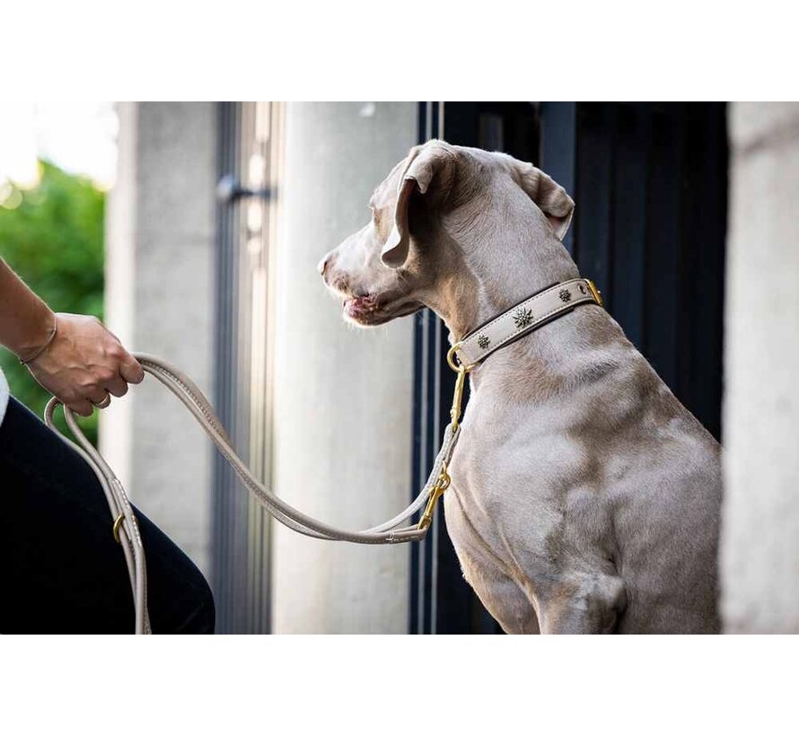 Hondenhalsband Bergbloem